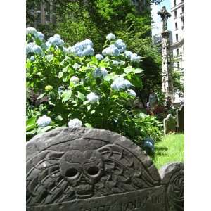 Gravestone Skull New York City 