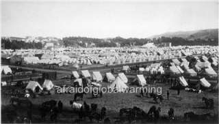 Photo 1898 SF California Tents/Horses at Camp Merritt  