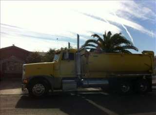 1999 Peterbilt 377 Dump Truck, Low Miles with Transfer Trailer  in 