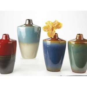   Vibrant Multi Color Decorative Vases by Casa Cristina
