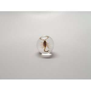  Mini Golden Scorpion Sphere 