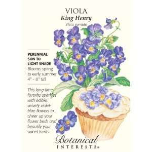  Viola King Henry Seeds Patio, Lawn & Garden