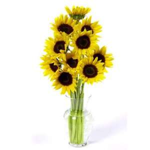  All Season Sunflowers Patio, Lawn & Garden