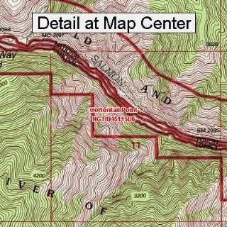  USGS Topographic Quadrangle Map   Cottontail Point, Idaho 
