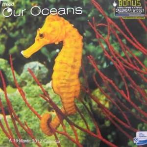  Our Oceans 2012 Wall Calendar 12 X 12