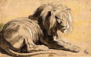 PETER PAUL RUBENS Studie eines Löwen 80x50cm BILD Lnwnd  