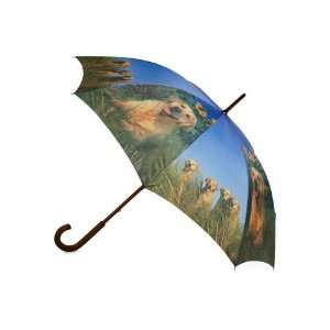  Itâ?TMs Raining Dogs Umbrella Patio, Lawn & Garden