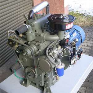 Zylinder Dieselmotor Weifang 295D für BHKW  