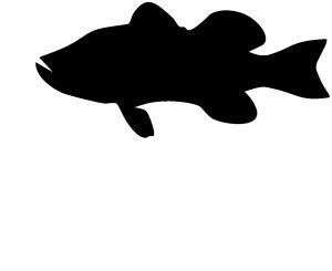 FISH BOAT FISHING STICKER/DECAL CHOOSE SIZE/COLOR  