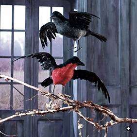 Halloween Prop Open Winged Crow Raven Inside Outside 2  