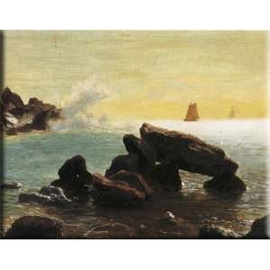  Farralon Islands, California 16x12 Streched Canvas Art by 
