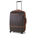 Suitcases   Travel & luggage   Accessories   Selfridges  Shop Online