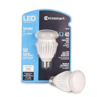   White (5000K) A19 LED Light Bulb ECS A19 V1 CW 120 