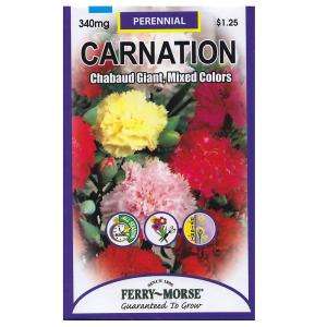 Ferry Morse Carnation Chabaud Giant Mixed Color Seed 8005 at The Home 