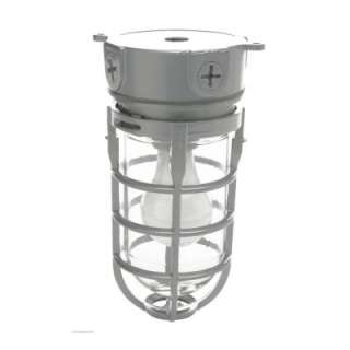   Edge Weather Tight Industrial Ceiling Fixture L 1706 