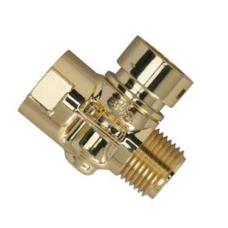   Connector with Polished Brass Finish for the Rinse Ace Detachable Hose