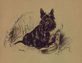 Scottish Terrier   Lucy Dawson Dog Print   MATTED  