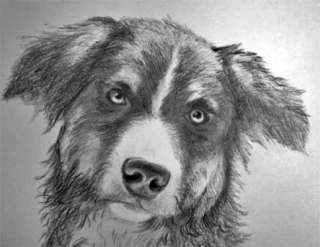 Tiergemaelde und Tier Zeichnungen nach Ihrem Foto in Baden 