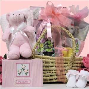  Baby Essentials ~For Girl Baby Gift Basket Sale Baby