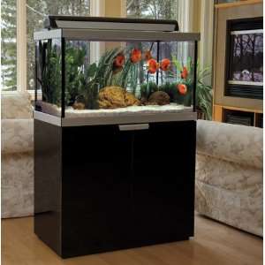    Studio Aquarium Kit 900, 47.5 gallon aquarium