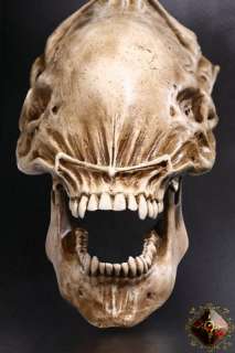 Resin Alien skull brand new collectable  