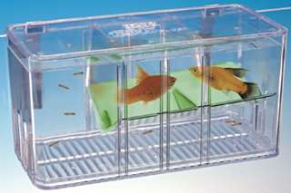 Aquarium Five Way Breeder Tank Fish Breeding BT5  