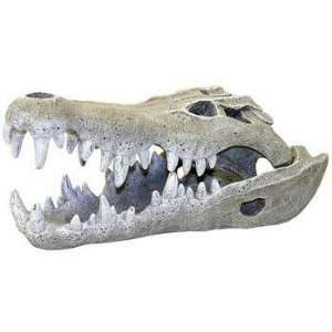   Crocodile Skull Small (Catalog Category Aquarium / Resin Ornaments