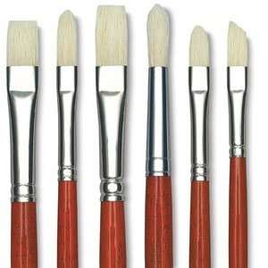  Da Vinci Maestro 2 Hog Bristle Brushes   Short Handle, 17 
