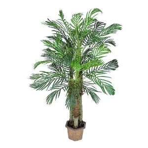   Pre Potted 6 Artificial Phoneix Robellini Palm Tree