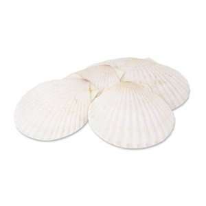 Baking Shell, 4 1/2 Dia., Imported, Natural, For Cooking And Serving 