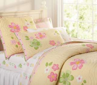 Pottery barn Kids Emily Full/Queen Quilt & Two Pillowcases  