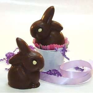 Creek House Solid Easter Bunny Milk Chocolate  Grocery 