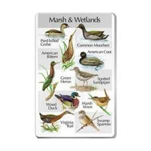    Marsh & Wetlands (Optics, Cameras, Bird Calls) 