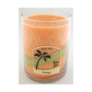 Aloha Bay Palm Wax Candles   Mango   Nature Scented Two Wick Jars 15 