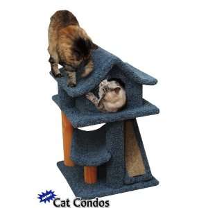  Mini Cat Pagoda House   Blue