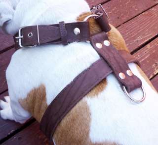   Quality Leather Walking Dog Harness 26 30 1.5 wide Straps Pitbull