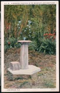   FL Mountain Sanctuary Drinking Fountain Vtg Postcard Old Florida PC