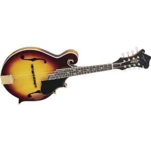  Dean Bluegrass F Mandolin Musical Instruments