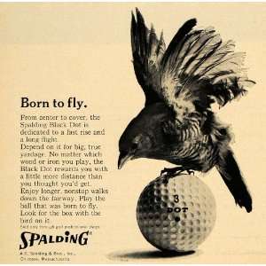  1965 Ad A G Spalding & Bros Black Dot Golfing Ball Bird 