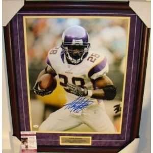 Adrian Peterson Autographed Picture   NEW Framed 16X20 JSA 