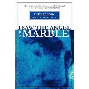 Saw the Angel in the Marble Chris Davis 9780910300995  