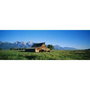 John Moulton Barn in Field with Bison, Grand Teton National Park 