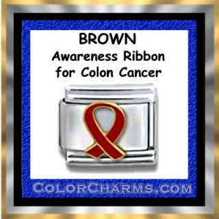 BROWN AWARENESS RIBBON for COLON CANCER Italian Charm  