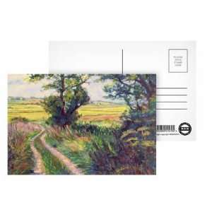 The Track to Boleyns Farm, Kent by Robert Tyndall   Postcard (Pack of 