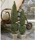SHABBY FRENCH CHIC S/2 Moss Sphere TOPIARY Topiaries NEW