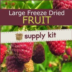 Large Freeze Dried Fruit Supply Kit (8.75 lbs)  Grocery 