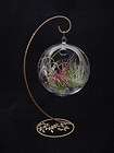 Tillandsia Collections, Hanging Glass Orb Terrariums items in PLANT 