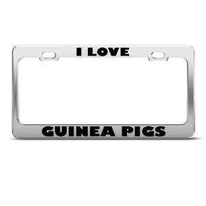 Love Guinea Pigs Pig Animal license plate frame Stainless Metal Tag 