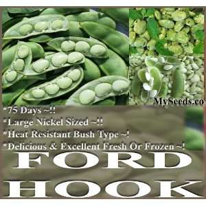  1 LB (440+) Lima Bean Seeds   Fordhook 242 Bush All 