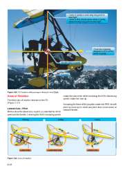 WEIGHT SHIFT   AIRCRAFT FLYING (ULTRALIGHT) 1 PDF on CD  